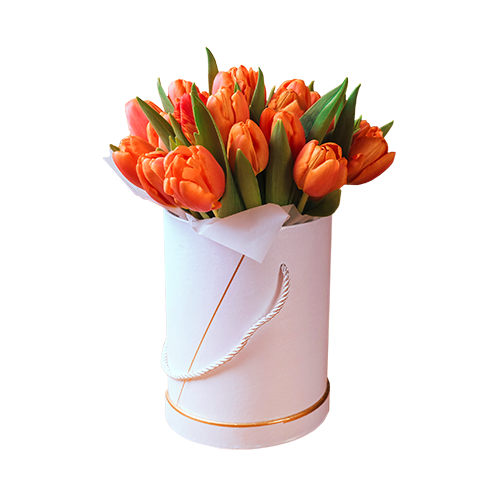 Композиции из тюльпанов в коробке